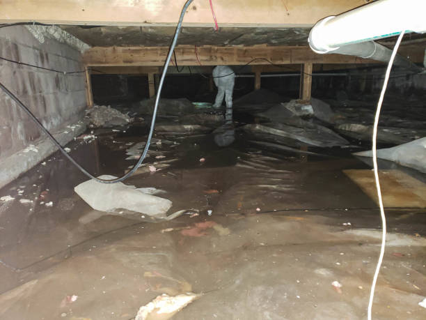 Willowbrook, IL Water damage restoration Company